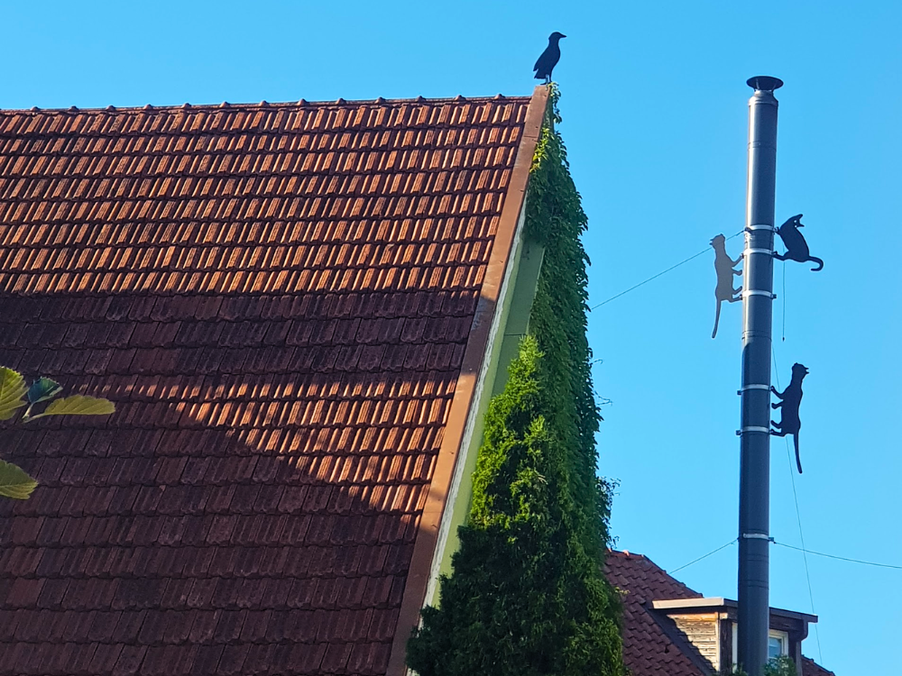Black cat silhouettes decorate a red tiled rooftop and a metal chimney against a bright blue sky. Green ivy climbs the side of the old building, giving the street corner a playful feel.