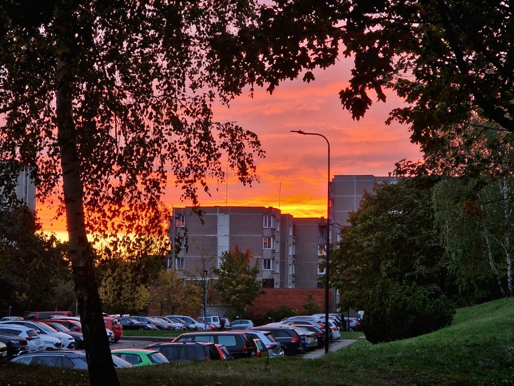 An orange and pink sunset over apartment blocks, parked cars, trees and a grassy slope in Justiniškės.